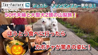 【期待してた感じと違う…💧】それでも楽しもうとする50代夫婦と大型犬2頭の車中泊旅！