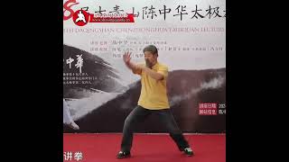 Outside Moves are all fake 外动都是假 107陈中华讲拳 48届大青山陈中华太极拳讲座20241001 07