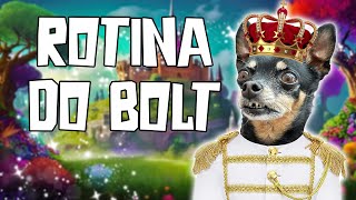 A ROTINA DO BOLT + CONHEÇA O BOLT DE VERDADE