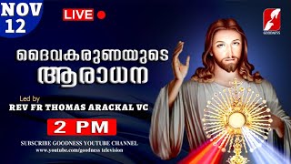 NOV 12|ദൈവകരുണയുടെ ആരാധനKaruna kontha|REV FR THOMAS ARACKAL VC|DIVINE ADORATION|Aradhana|GOODNESS TV