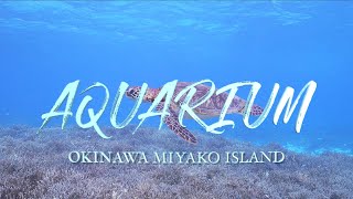 Relaxing music and video 沖縄県宮古島わいわいビーチ ウミガメと泳ぐ【AQUARIUM BGM リーモーと水族館】4K Healing video