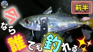 〚上関町〛ようやくアジ\u0026メバルが簡単に釣れ始めました🎣今なら釣れる💓今年はいい年になりそうです🎶☆☆前半☆☆