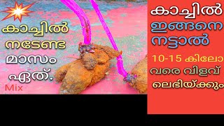 10 - 15 കിലോ വരെ കാച്ചിൽ കിട്ടും ഒരു കുഴിയിൽ നിന്ന് ഇങ്ങനെ നട്ടാൽ | Malayalam | Mix channel | India.