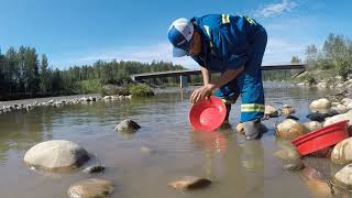 Prospecting and scoping out places to High bank on the Kakwa River Alberta, Canada