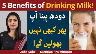 5 Benefits of Drinking Milk [DOODH KE FAWAID] Milk Ke Fayde | Doodh Peene K Sahi Tarika