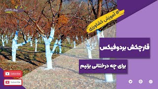 قارچکش بردوفیکس برای چه درختانی بزنیم-For what trees should we use Bordofix fungicide?