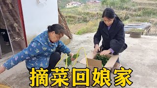 兒媳回娘家秒變“土匪婆”，婆婆還幫著她，網友：好想有同款婆婆【農人家三嫂】