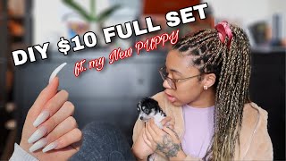 DIY $10 FULL SET AT HOME! w/ CVS KIT | ft. My New PUPPY! | TayPancakes