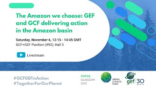 GEF@COP26 (Nov. 6): GEF and GCF delivering action in the Amazon basin