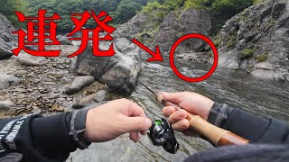 あのミノーを使ってみたら尺ヤマメが連発した！【マスラオ70HS】【マスラオ50s】【渓流ルアー】
