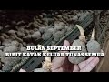 KONDISI BIBIT KATAK PORANG DIBULAN SEPTEMBER 2021