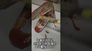 케찹을 수도꼭지에 발랐더니....?