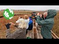 Twenty Years of Tallgrass Prairie Restoration at Nachusa Grasslands