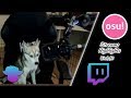 osu! Stream Highlights | Week #6 | Chuki The Wolf