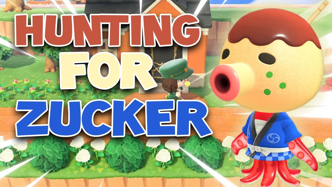 Hunting For Zucker! Villager Hunting In Animal Crossing New Horizons ...