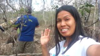 Mareeba Wetlands, Rod and Nick Dean feeding Emu. Nov. 2016