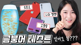 요즘 핫한 핸드폰 성능테스트! 금붕어테스트 믿어도 될까? (ft.아이폰SE2, LG벨벳, Z플립 비교) | 주연ZUYONI