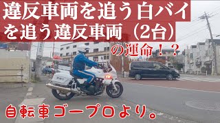 自転車ゴープロ、目の前で捕物。 多数のお客さん（違反車両）。