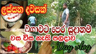 ලස්සන දවසක වගාවට පෙර සුදානම🌾🌿🌱🍀 #dayvlogsinhala @Joyfultrio