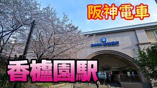 【阪神電車】香櫨園駅を見に行きました（2023年4月）