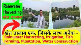 खेत तालाब | Rainwater Harvesting | Khet Talab ke fayde | Benefits of Farm Pond | वर्षा जल संचय