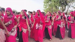 पीपलुद की फेमस शादी वीडियो !! New aadiwasi shadi dance video #adiwasi #shadi #dance #video #new#2024