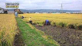 地元の米と水で仕込む手造りの酒　佐久の花酒造