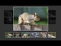 How To Create Image Gallery In HTML, CSS and Javascript | Lightbox Gallery