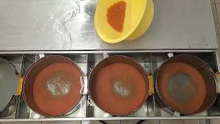 Placing rainbow trout eggs in the incubator