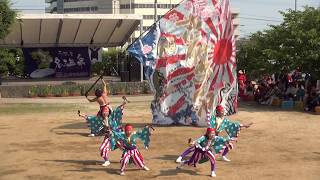 かごしま新世界 さん　2017　玉名温泉夢まつりYOSAKOI