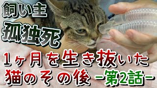 【孤独死】遺体と1ヶ月～生き抜いた猫の今～ ②：７１８