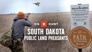 Pheasant Hunting: South Dakota’s Best Public Lands | onX Hunt