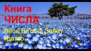 ЧИСЛА. Весь Ветхий Завет кратко