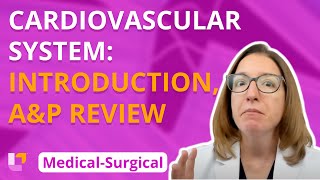 Cardiovascular System: Introduction, Anatomy & Physiology Review - Medical-Surgical | @LevelUpRN