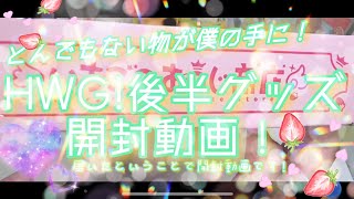 とんでもないものを出してしまった！すとぷりHWG!ライブ後半グッズ開封動画！【すとぷり】【神回】