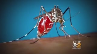 Dr. Max Gomez: Zika In Adults