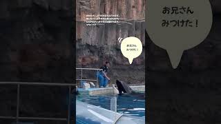 #アース、トレーナーさん大好き見つけたら行く#シャチ #名古屋港水族館 #イエスキリスト #聖書