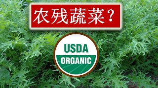 没有农药残留的蔬菜上哪儿买？