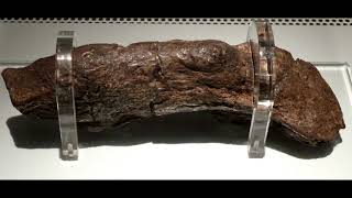 The Viking Turd...Yes, Really!