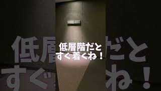 タワマン低層階は最強 #Short