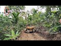 Caterpillar D6R XL Bulldozer Excellent Work Making New Roads in Residents' Plantations