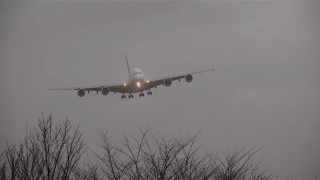 成田空港強風警報発令!! STORM!! Crosswind Landing!! Airbus380 Thai Airways Narita Airport RWY16R