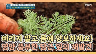 버리지 마세요, 몸에 양보하세요! 뿌리보다 영양 풍부한 당근 잎의 재발견 MBN 210402 방송