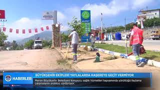 BÜYÜKŞEHİR EKİPLERİ YAYLALARDA HAŞEREYE GEÇİT VERMİYOR