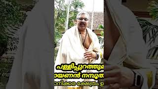 ചോറ്റാനിക്കര പള്ളിപ്പുറത്ത് മന|Shorts|Full video pls click the link:https://youtu.be/pTI4p0BYm-0