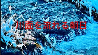 川面を流れる朝日　貝生川の流れと共に！