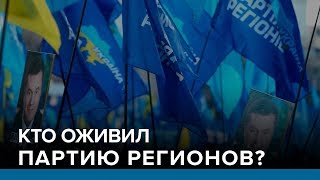 Кто оживил Партию регионов?   | Радио Донбасс.Реалии