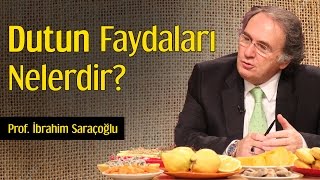 Dutun Faydaları Nelerdir? | Prof. İbrahim Saraçoğlu
