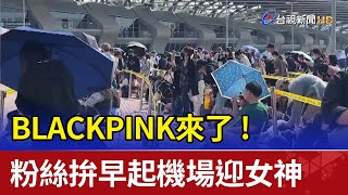 BLACKPINK來了! 粉絲拚早起機場迎女神