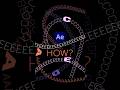How to Animate Unique Letter Paths in After Effects | Tutorial
